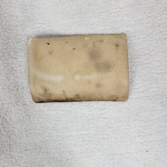 Antique Photo Western Woman Goat Carriage House Studio Photography 1800s Photos - Picture 4 of 6